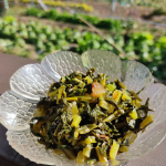 SnapCrab_NoName_2024-12-23_21-55-23_No-00