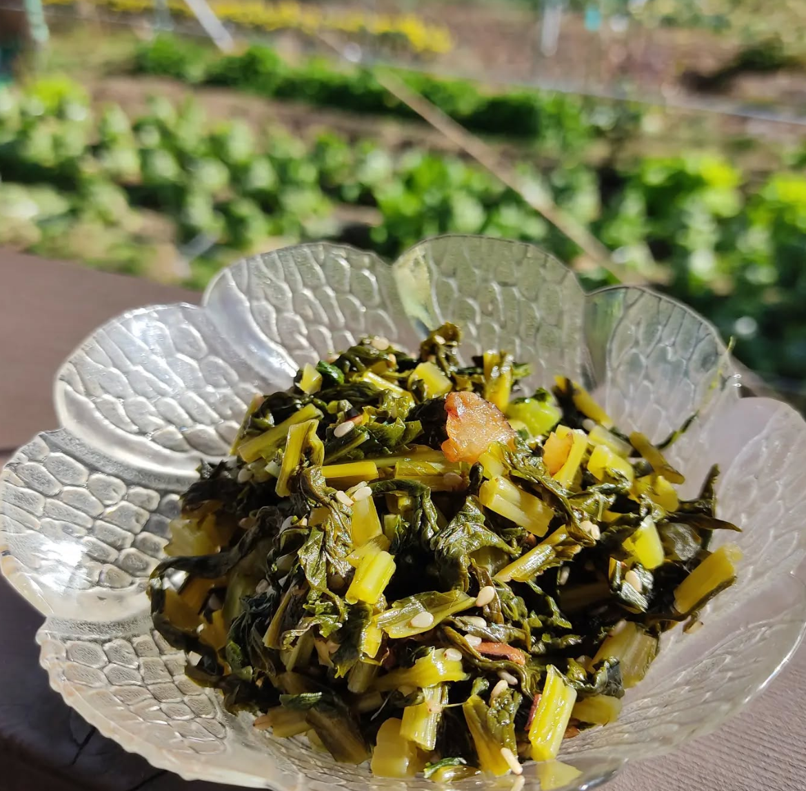 SnapCrab_NoName_2024-12-23_21-55-23_No-00